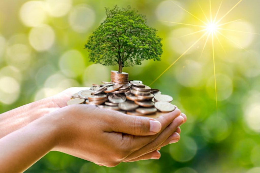 A Beginners Guide Ethical Investments: Where to Start