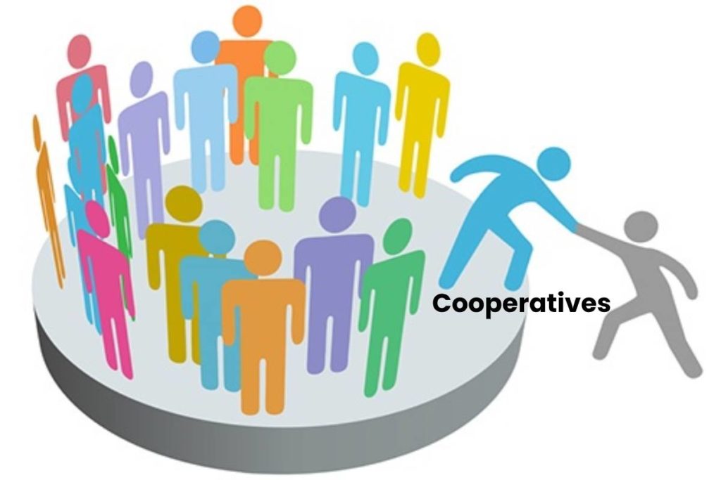 What are Cooperatives? – Types, Structure, and More